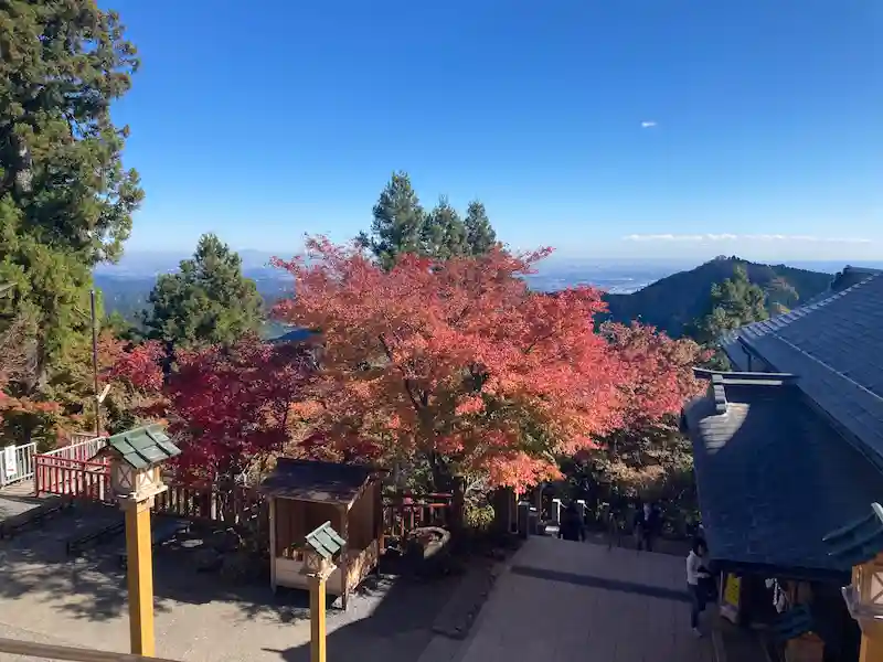 神社から見下ろす武蔵の国の景色